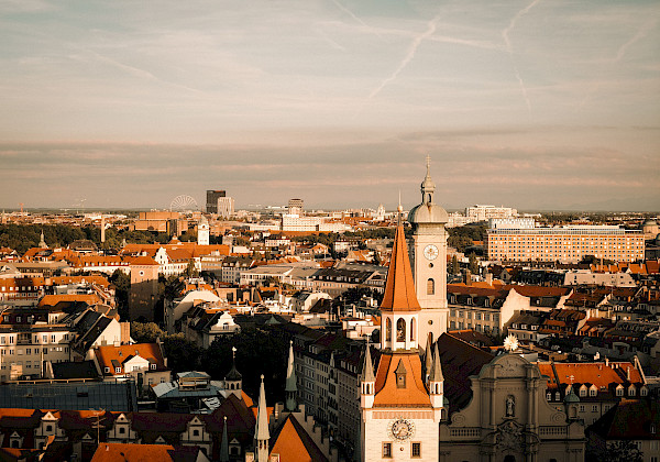 Stadtrat & Sitzungen