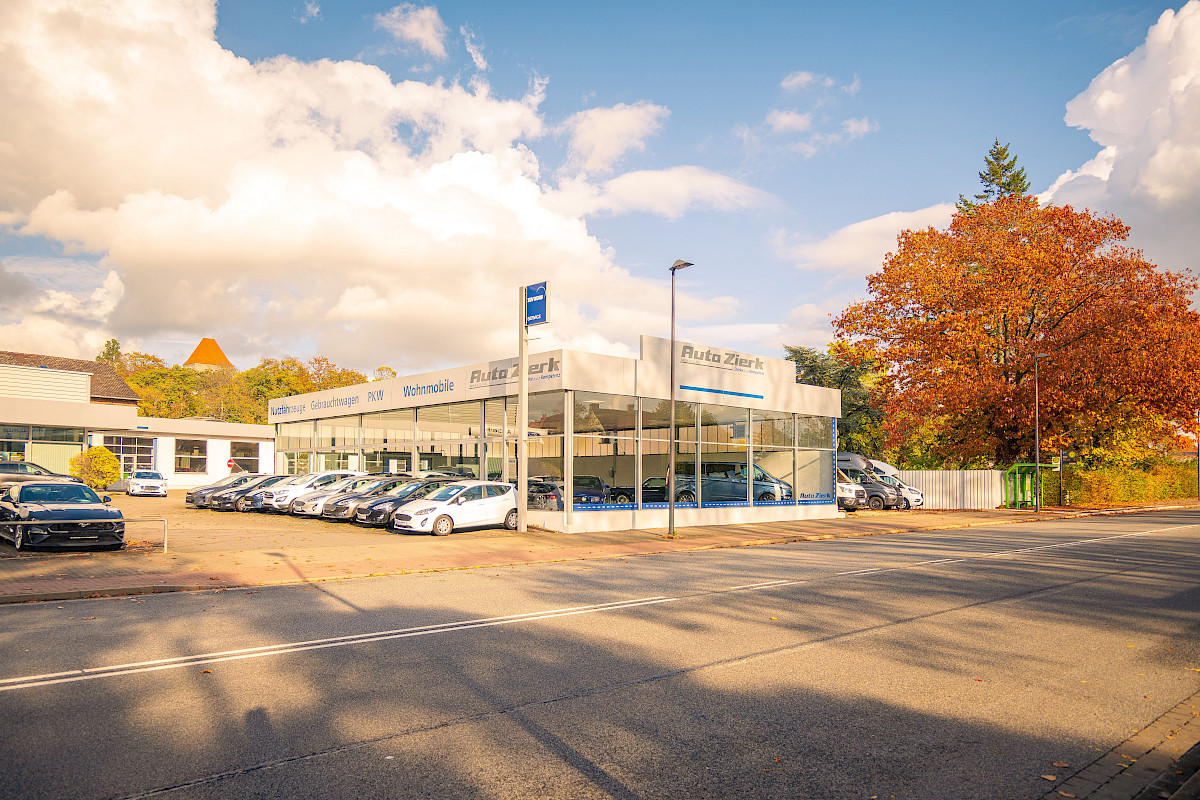 Autohändler mit mehreren geparkten Autos und herbstlich gefärbtem Baum im Hintergrund.